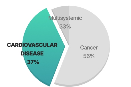 Pie Chart