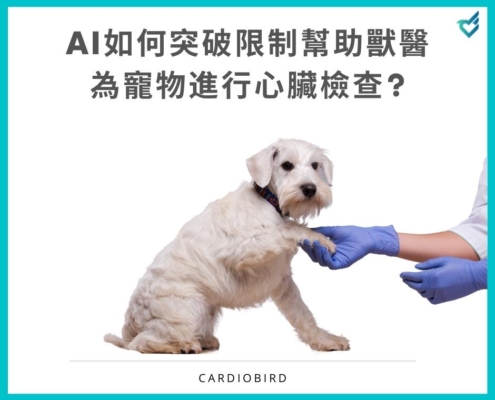 寵物心臟檢查好難！AI數據如何幫助獸醫師突破限制，為寵物進行心臟檢查?