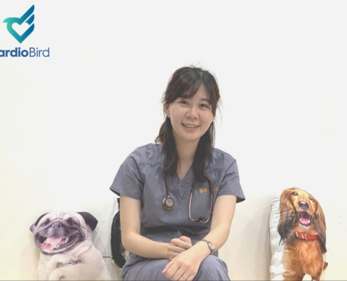臨床獸醫師何醫師專訪