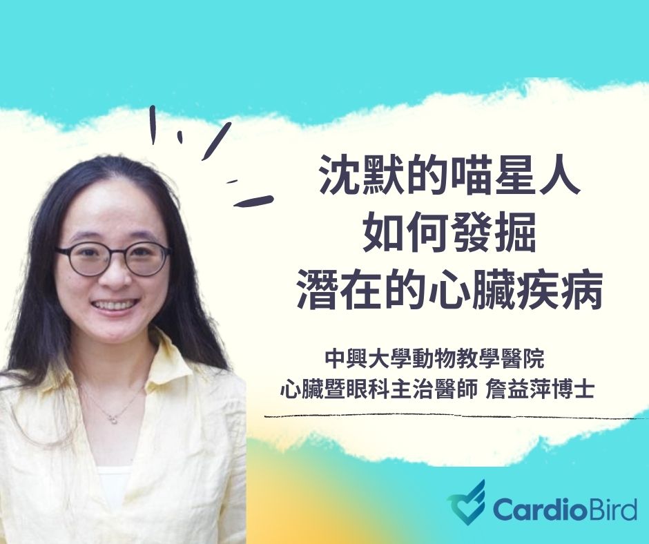沈默的喵星人,如何發掘淺在的心臟疾病