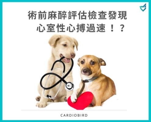 [案例分享] 術前麻醉評估檢查發現心室性心搏過速 (Ventricular tachycardia)！？