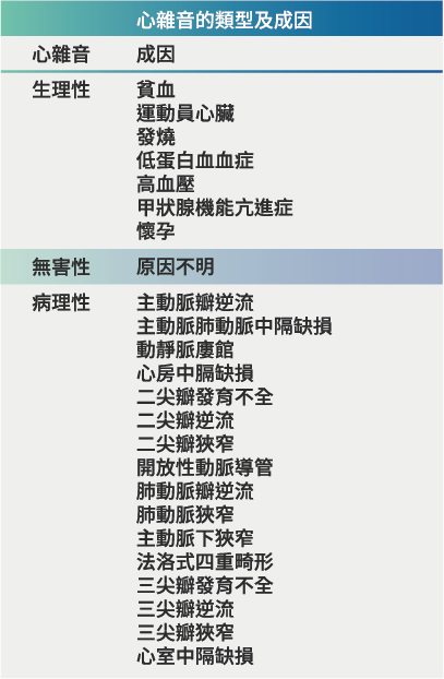 貓狗心雜音的類型與成因