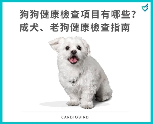 成犬、老犬健康檢查指南