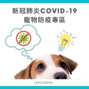 【新冠肺炎COVID-19寵物防疫專區】