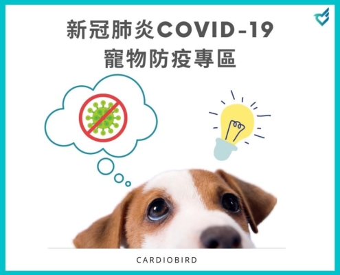 【新冠肺炎COVID-19寵物防疫專區】