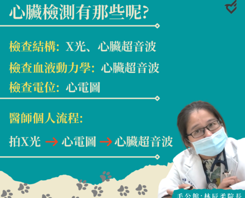 心臟檢測有那些呢?-林辰柔醫師
