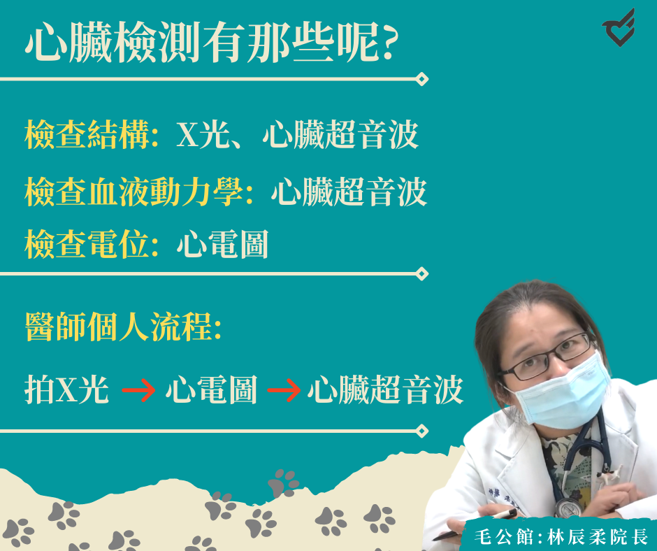 心臟檢測有那些呢?-林辰柔醫師