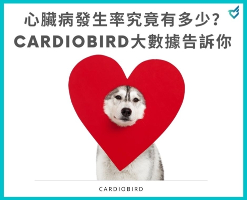 心臟病發生率究竟有多少？Cardiobird大數據告訴你