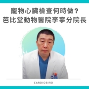 讓獸醫師告訴你寵物心臟檢查何時做？做什麼？| 芭比堂動物醫院李寧分院長